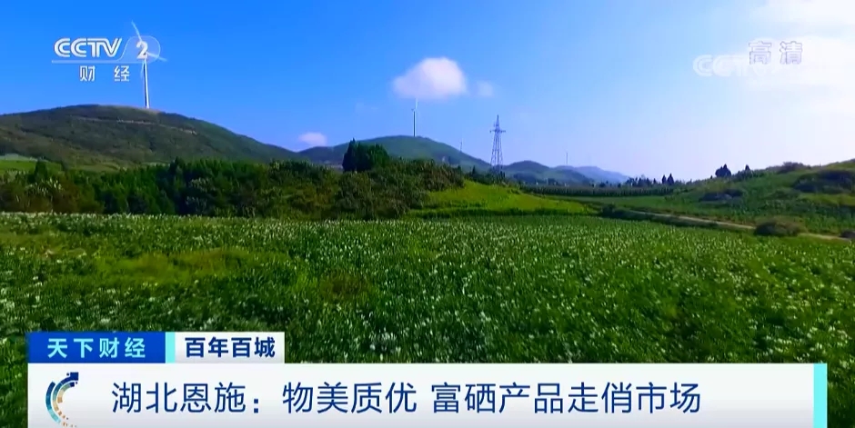 水培蔬菜补硒