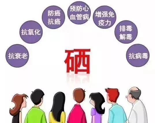 每日补硒上限
