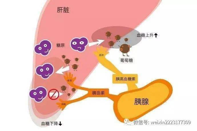 熬夜的人补硒