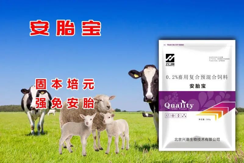 羊羔如何补硒