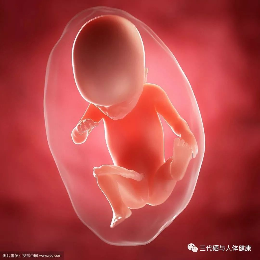 孕期补硒怎样