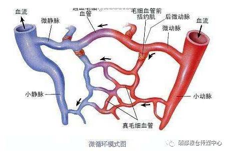 补硒乳腺结节