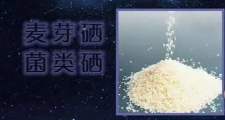 定量补硒工程