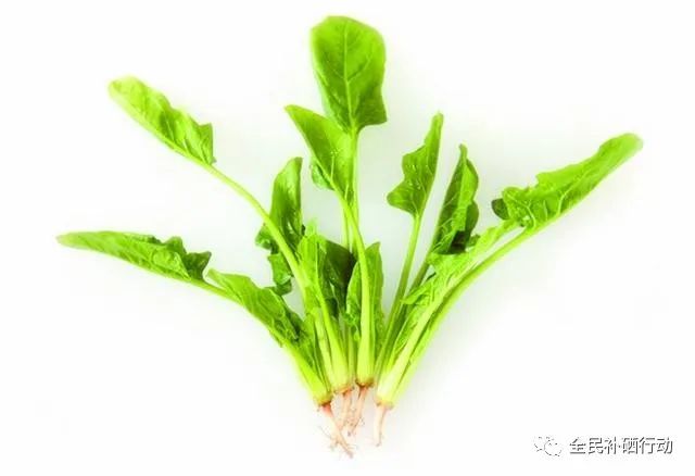哪种杏仁补硒