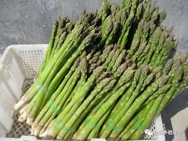 哪种杏仁补硒