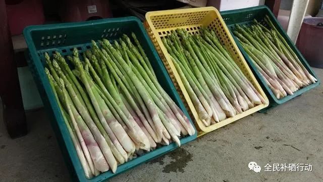 哪种杏仁补硒