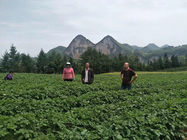 恩施补硒宾馆