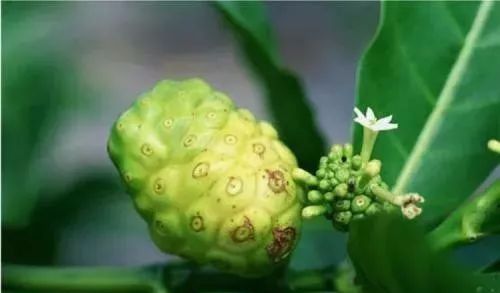 孕期需要补硒