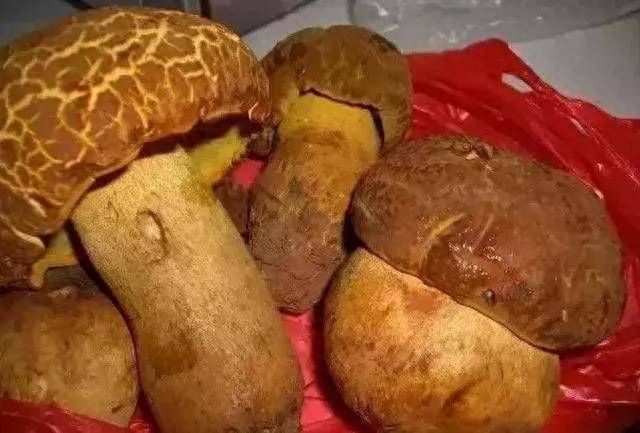 药用补锌补硒