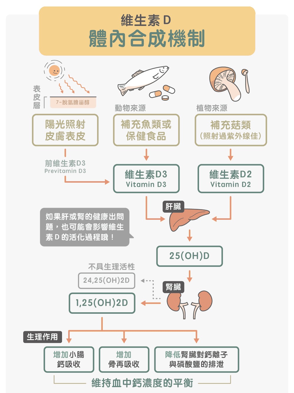 怎样补硒 锌