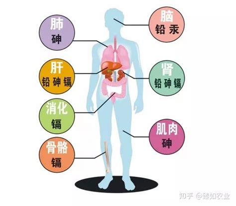 补硒出现红疹