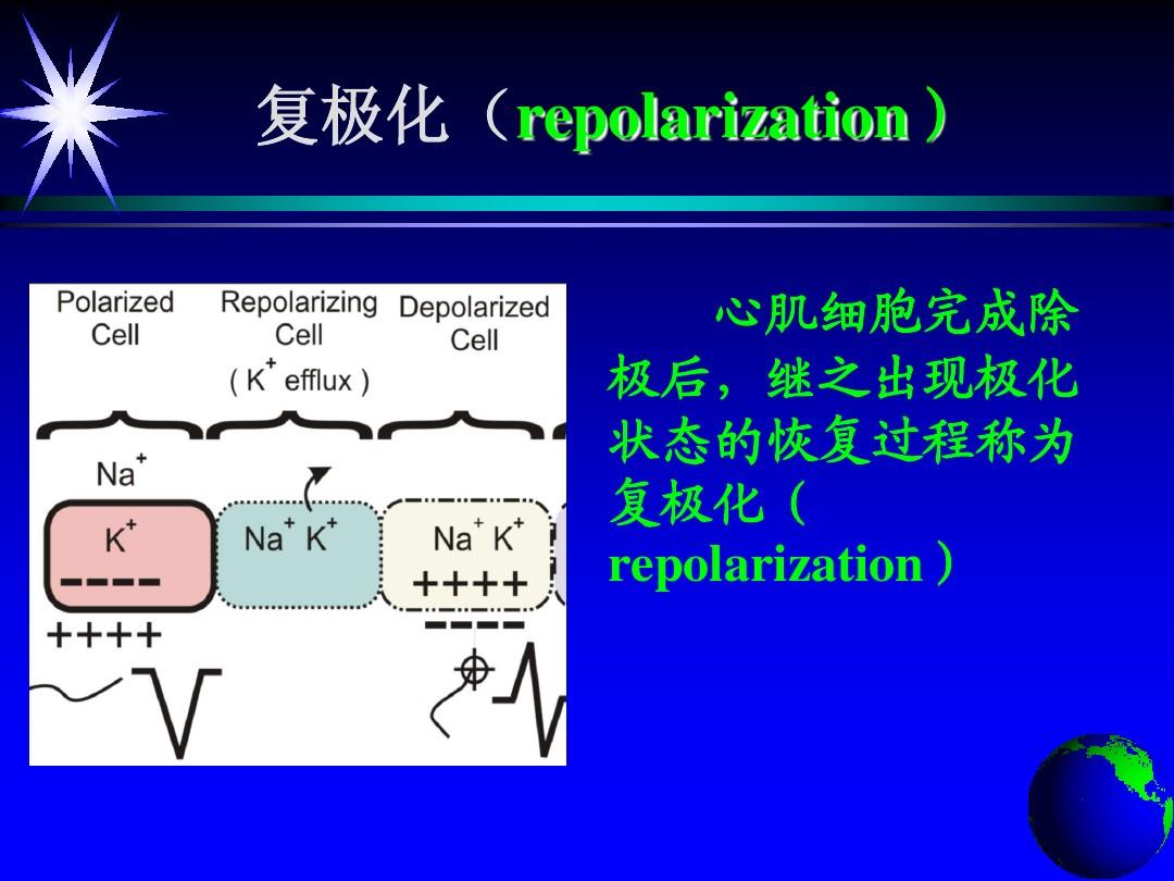 最新补硒机制