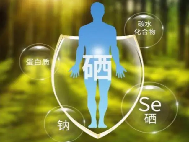 补硒会缺钙吗