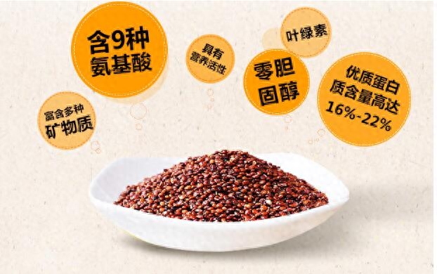 吃啥补硒最好