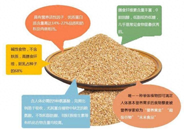 吃啥补硒最好
