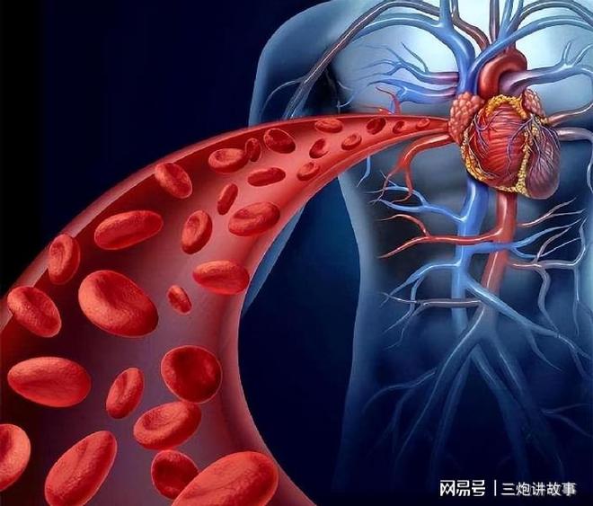胃癌补硒的药