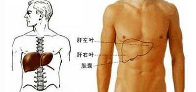 补硒皮肤过敏