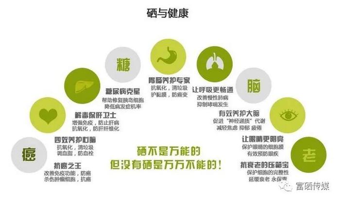 血稠可以补硒