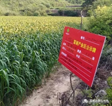 补硒后的好处