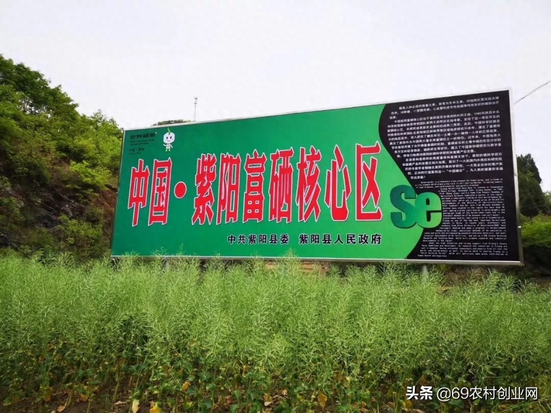 补硒后的好处