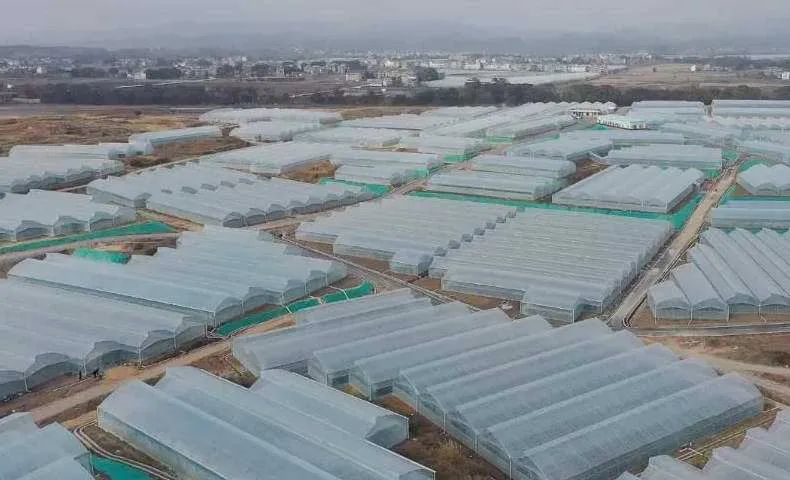 富硒奖补方案