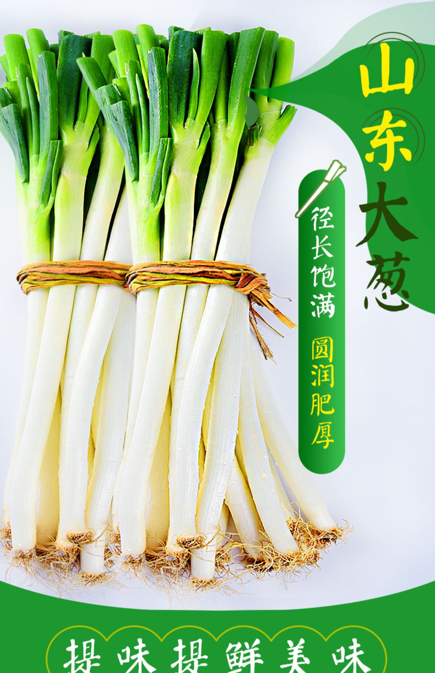 大葱能补硒吗