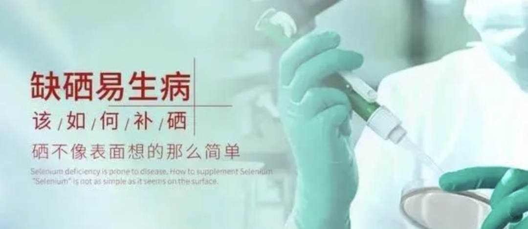 补硒剂有哪些