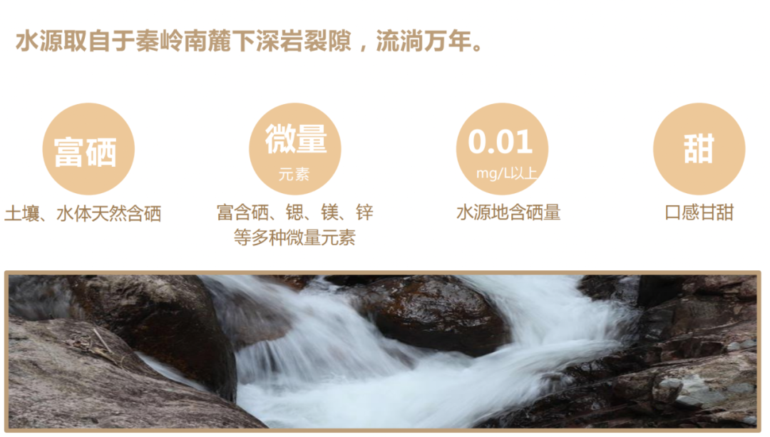 补硒剂有哪些