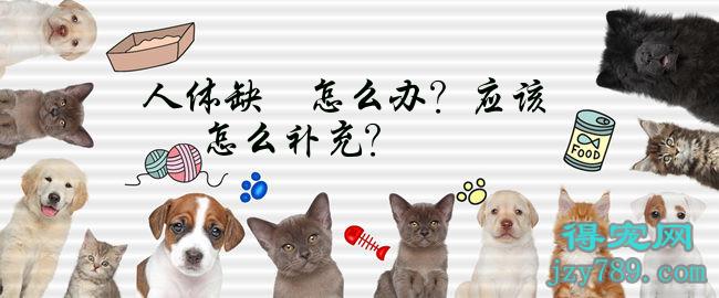 硒和镁怎么补