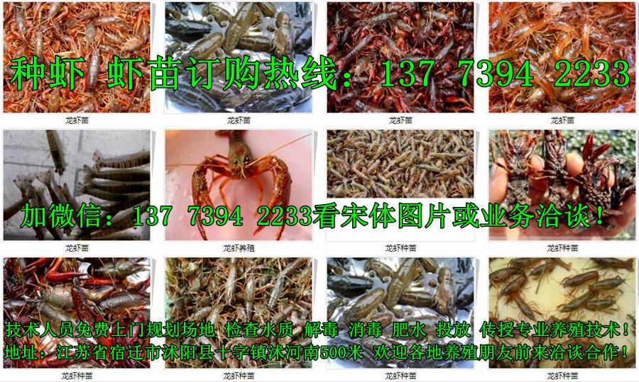 母牛用补硒吗