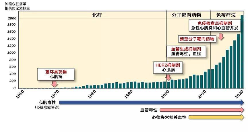 是补硒抗癌吗