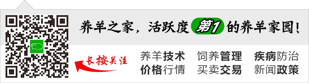羊只如何补硒