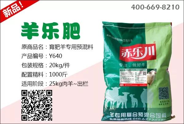 羊只如何补硒