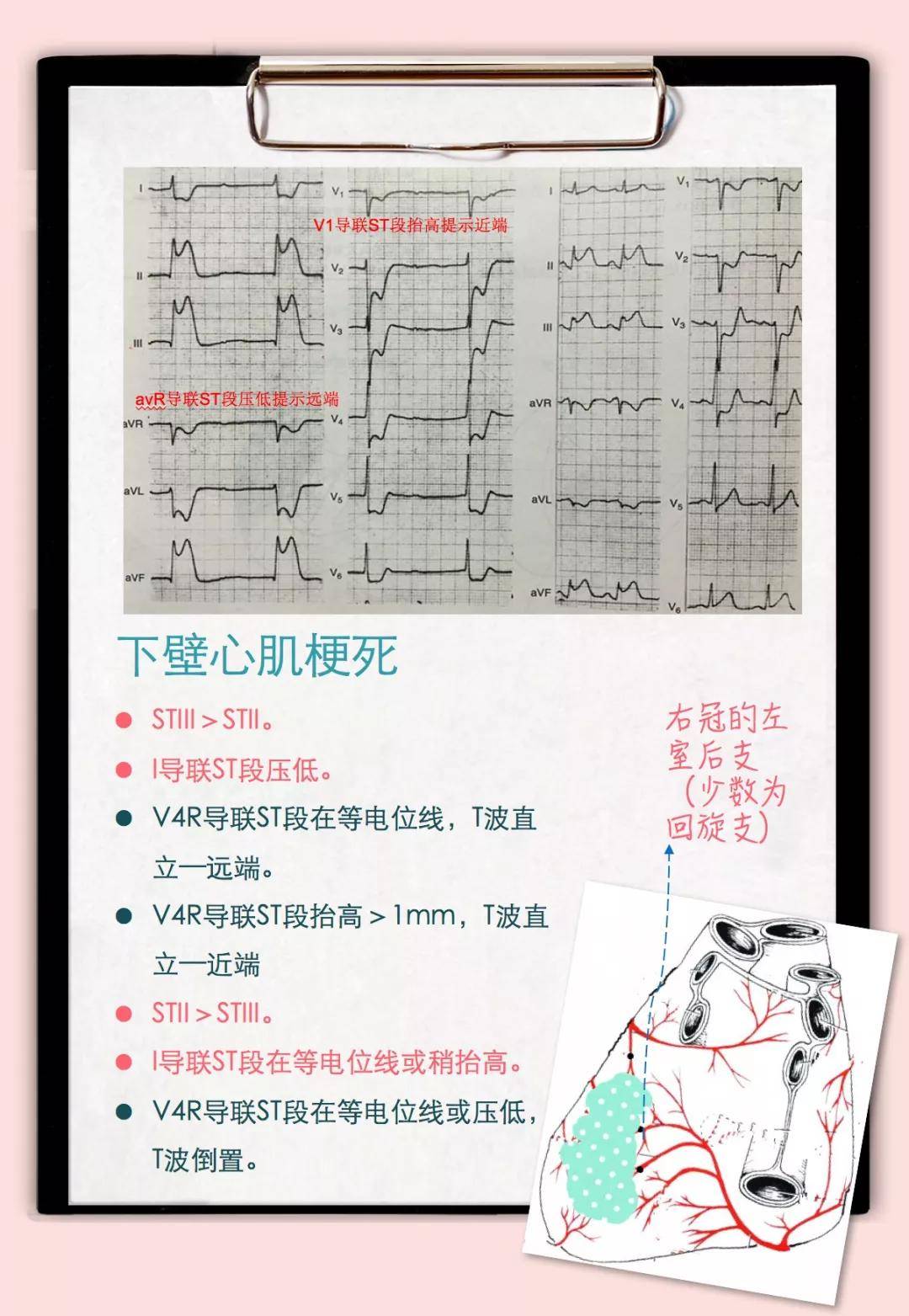 人不补硒行吗