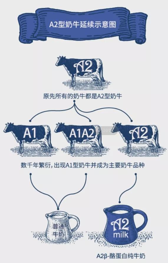 兽用补硒产品