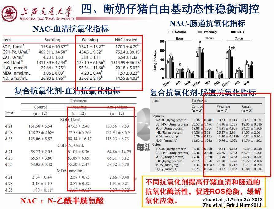 猪仔补硒后吐