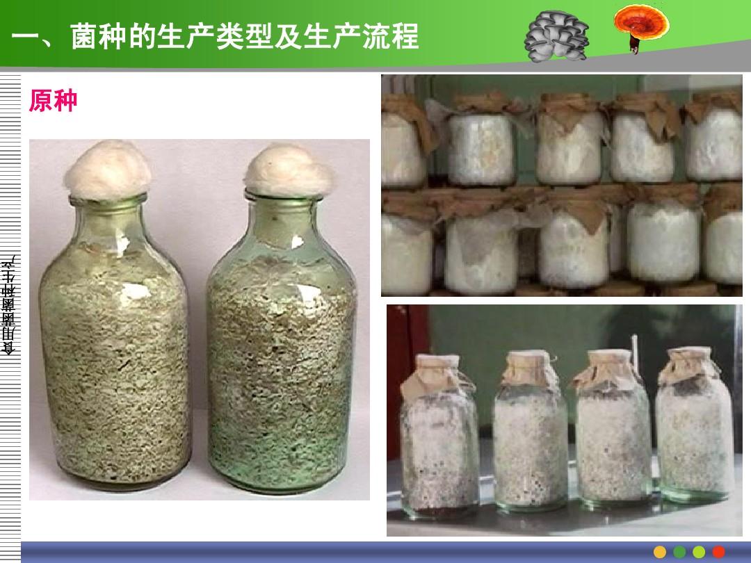 补硒社会痛点