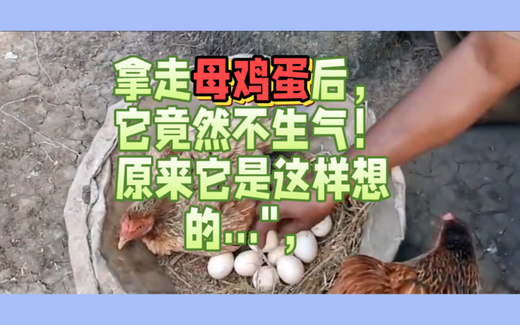 钟南山谈补硒