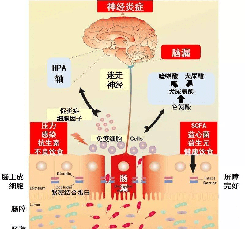 深露补硒胶囊