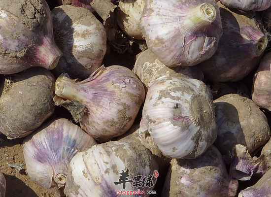 硒不能乱补吧