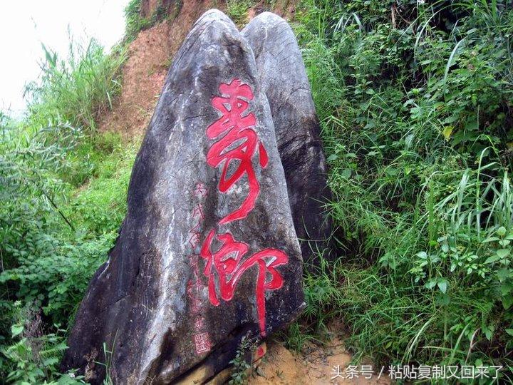 硒片补硒贵吗