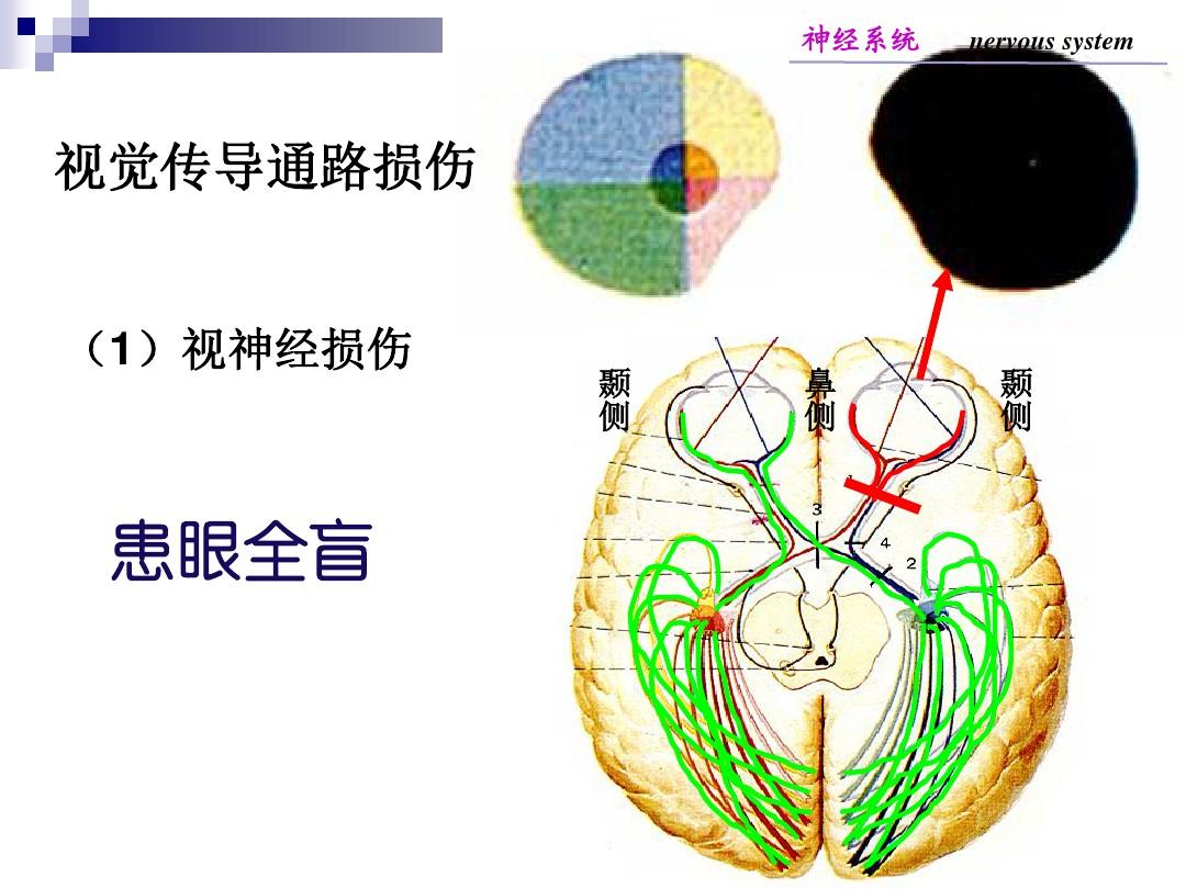 补硒治精神病