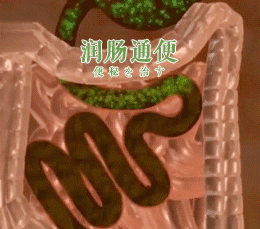 每天补一粒硒