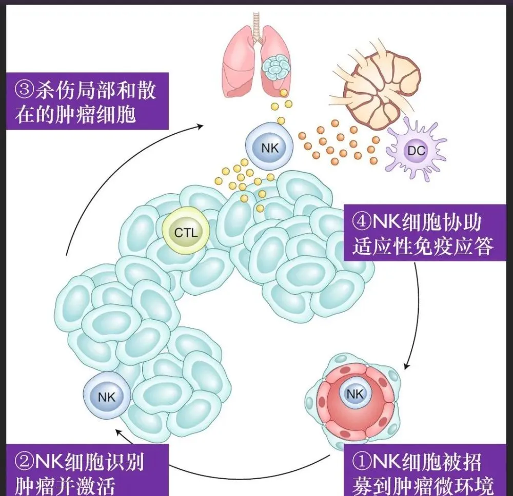 三高能补硒吗