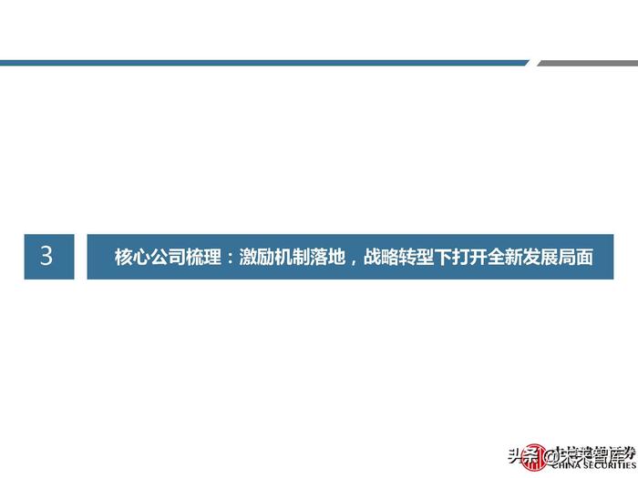 同仁堂补硒药