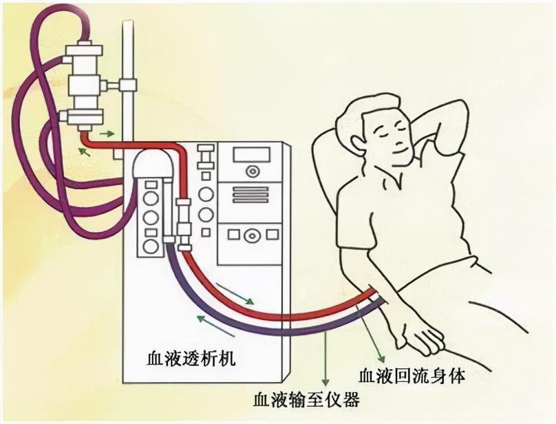 补硒后胰岛素