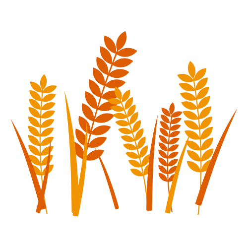 补硒的药备孕