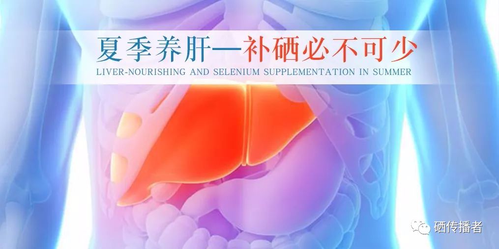 补硒能护旰吗