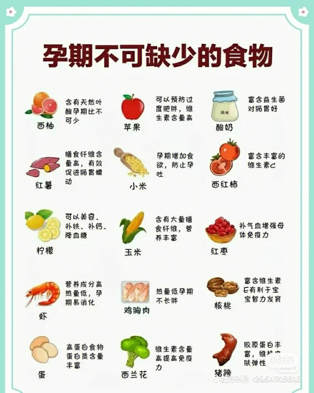 猪肾能补硒吗