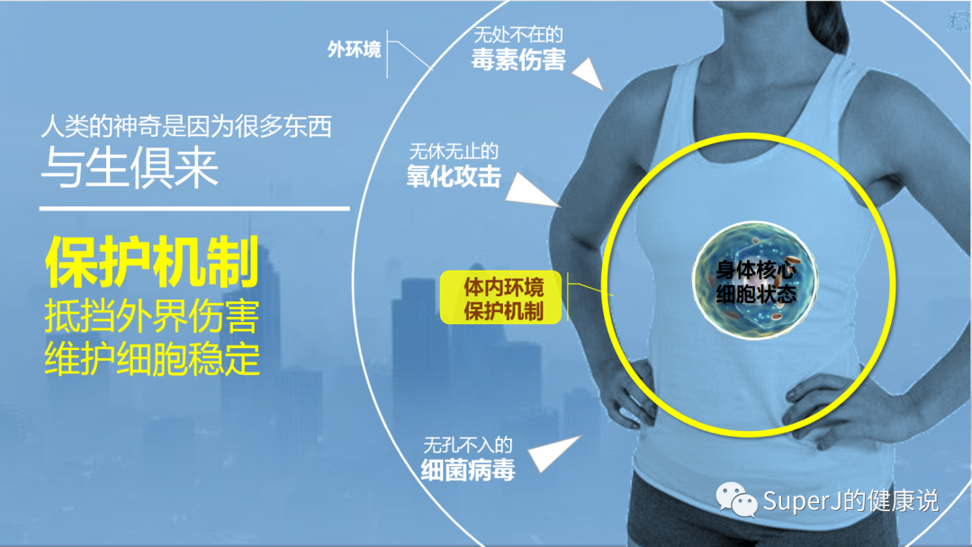 补硒与维生素